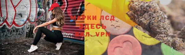 Альфа ПВП Аркадак