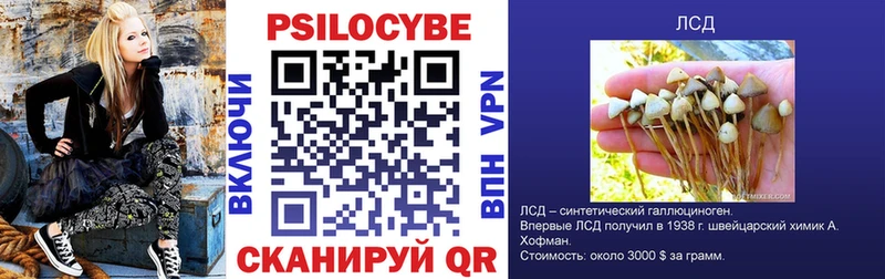 где можно купить   Алдан  Псилоцибиновые грибы прущие грибы 